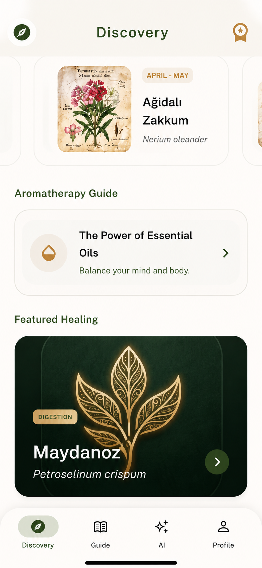 Sageway AI Preview