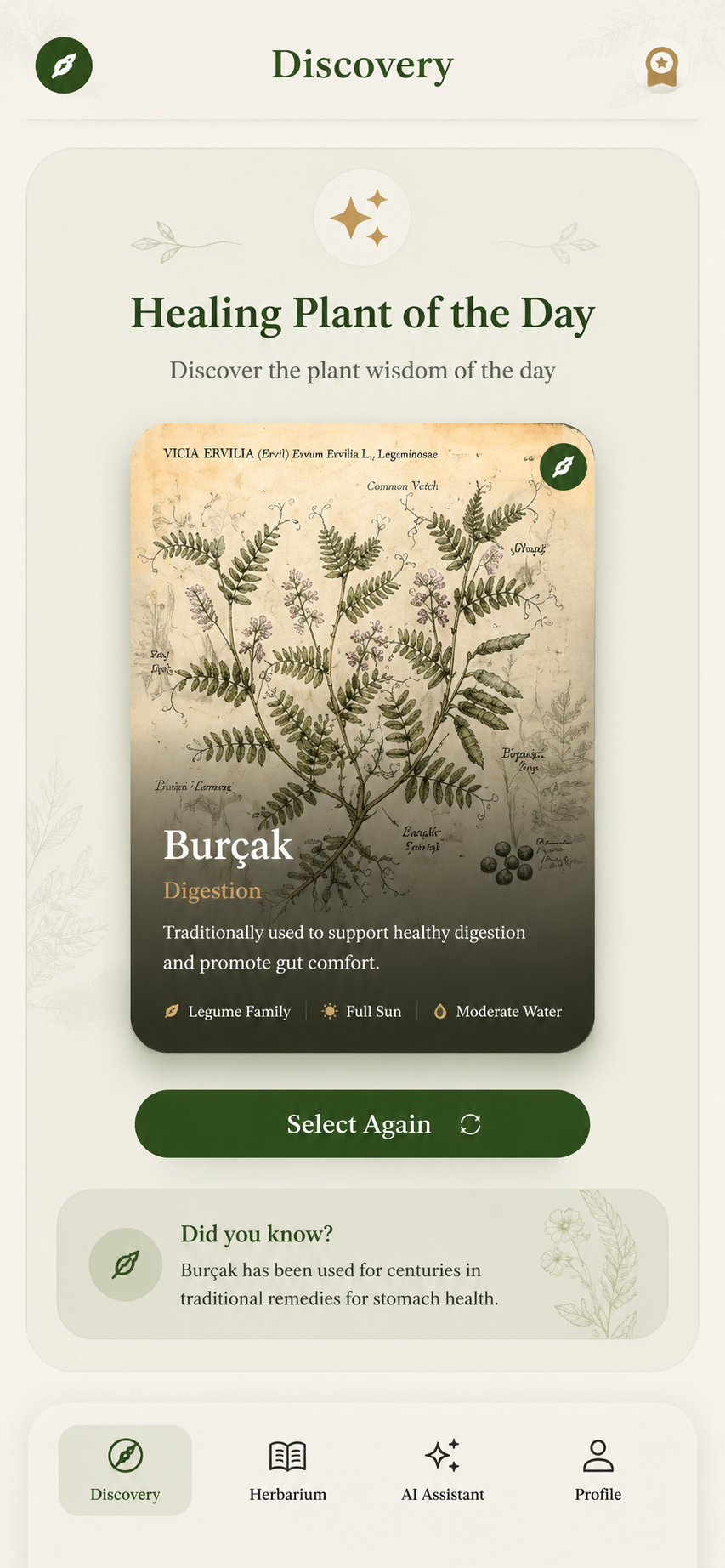 SagewayAI Screenshot 5